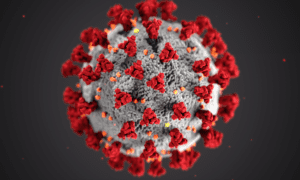 coronavirus